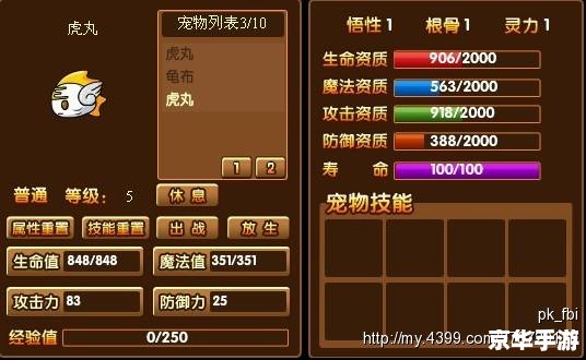造梦西游3宠物装备悉数登场：打造与宠物的最强羁绊