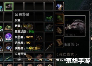 九阴真经怎么提升实力 九阴真经实力提升之道
