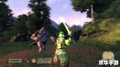 上古卷轴4mod **《上古卷轴4》MOD：打造全新的冒险体验**