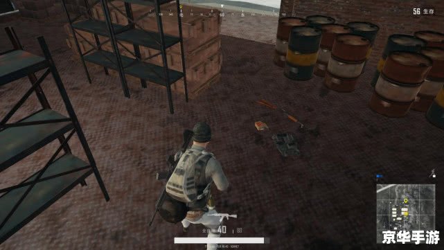 海加尔山声望:探秘与战斗的终极追求 海加尔山声望:探秘与战斗的终极追求