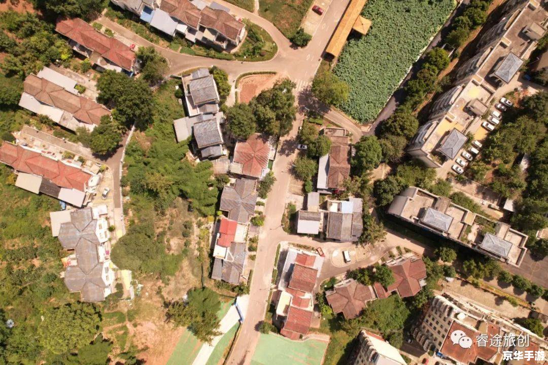 放逐之城攻略——打造理想城市的必备指南 放逐之城攻略——打造理想城市的必备指南