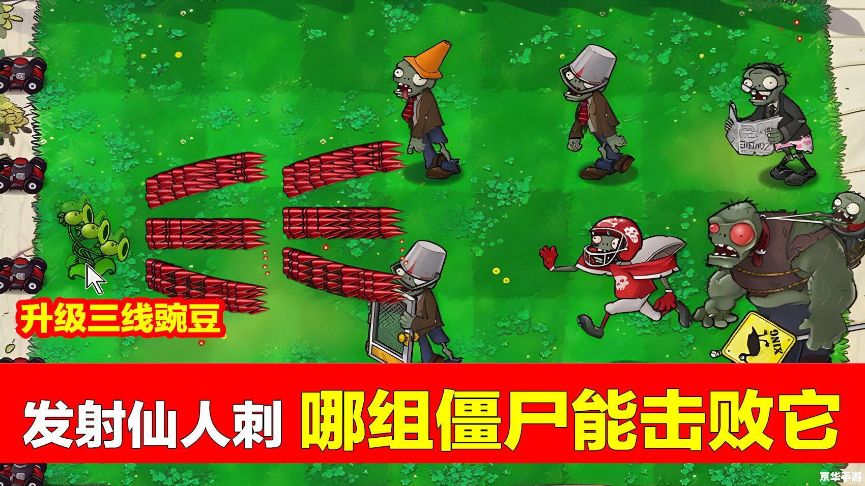 植物大战僵尸完整版——经典游戏再度袭来 植物大战僵尸完整版——经典游戏再度袭来