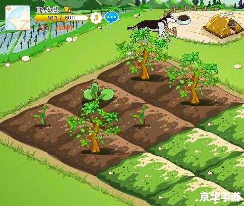 QQ农场最高等级——农场之巅,究竟谁能登顶? QQ农场最高等级——农场之巅,究竟谁能登顶?