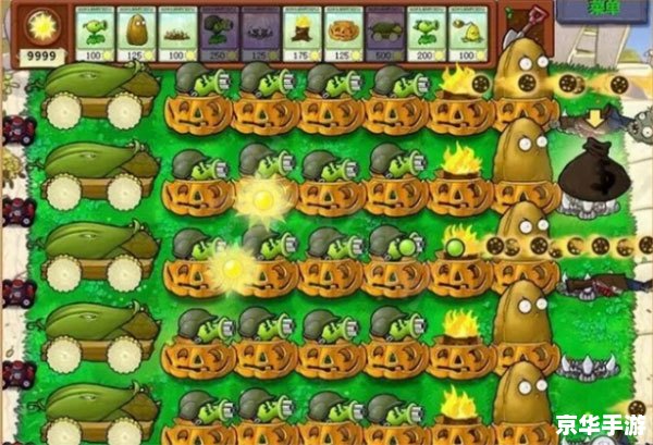 植物大战僵尸游戏安装教程 植物大战僵尸游戏安装教程