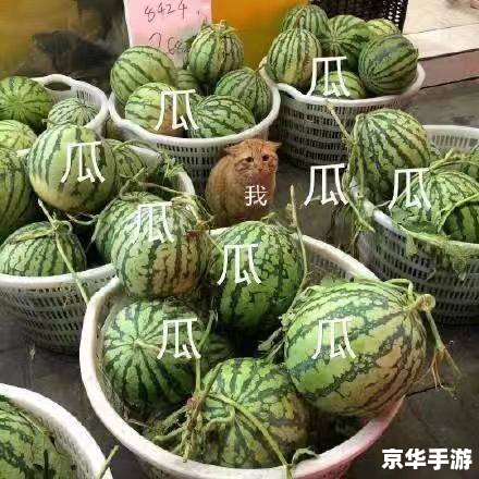 建议:《合成大西瓜iOS:轻松上手,趣味无限》 建议:《合成大西瓜iOS:轻松上手,趣味无限》