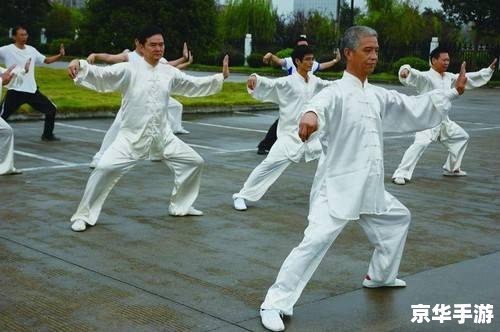 太极拳24式视频怎么用 如何有效利用太极拳24式视频进行自我学习和提升 太极拳24式视频怎么用 如何有效利用太极拳24式视频进行自我学习和提升