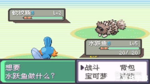 【神奇宝贝红宝石秘籍】游戏攻略大全