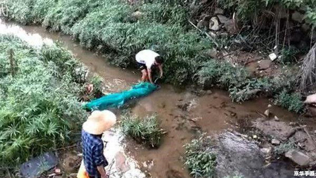 鱼鱼桌面秀怎么用 鱼鱼桌面秀怎么用