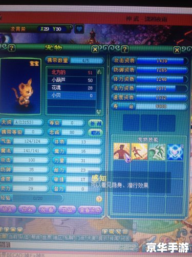 神武小贝怎么得 神武小贝获取方式详解