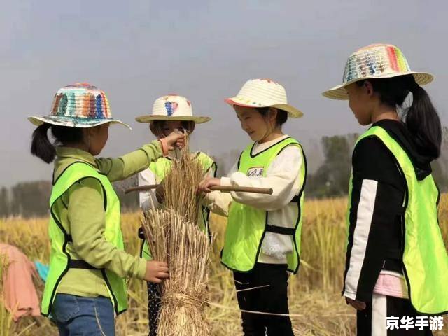 疯狂农场5：再度掀起农耕热潮