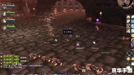 建议:《魔兽玩家:探索与战斗的终极体验》 建议:《魔兽玩家:探索与战斗的终极体验》