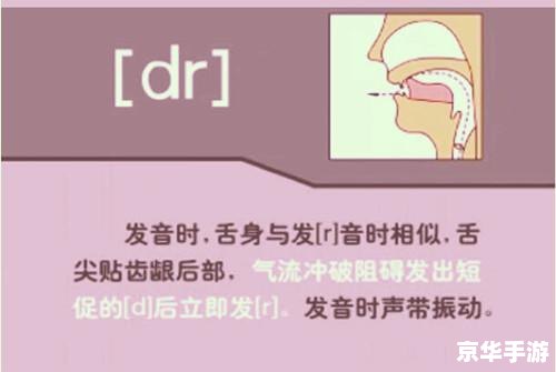 英语音标发音视频怎么用 英语音标发音视频的使用方法 英语音标发音视频怎么用 英语音标发音视频的使用方法