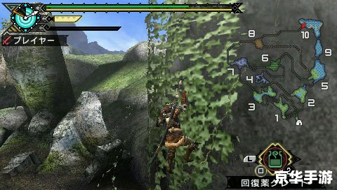 建议：《PSP怪物猎人：探索与战斗的终极体验》