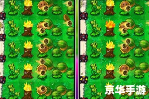 在线小游戏植物大战僵尸 中文标题: 在线小游戏植物大战僵尸 中文标题: