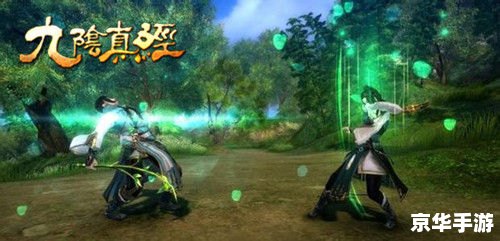 建议：《九阴真经极乐谷二内：探秘与战斗的终极体验》