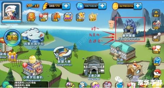 口袋妖怪金版——经典再现,探索与战斗的终极体验 口袋妖怪金版——经典再现,探索与战斗的终极体验