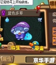 洛克王国蓝色多哥:海洋之星的传奇之旅 洛克王国蓝色多哥:海洋之星的传奇之旅