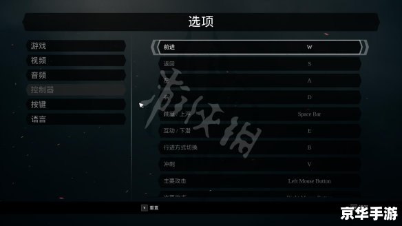 暗黑血统手柄设置详解 暗黑血统手柄设置详解