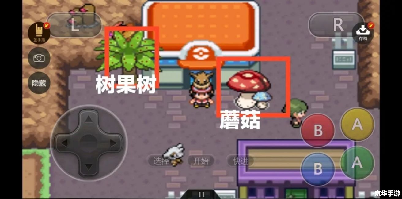 口袋妖怪黑白金手指代码——探索与战斗的终极武器