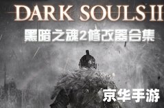 黑暗之魂2修改器 建议：