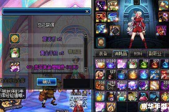 建议：《DNF冲级攻略大揭秘：快速升级与高效打怪技巧全解析》