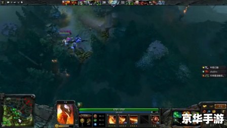 建议:《Dota第一视角:深入剖析与精彩回顾》 建议:《Dota第一视角:深入剖析与精彩回顾》