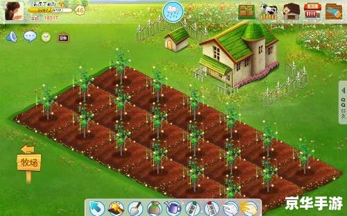 qq农场种什么升级最快 QQ农场种植策略：如何选择作物快速升级