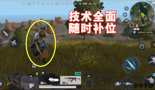 建议：《CSOL腹背受敌：战术与策略的双重考验》