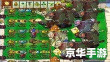植物大战僵尸最新版——经典游戏焕发全新活力 植物大战僵尸最新版——经典游戏焕发全新活力