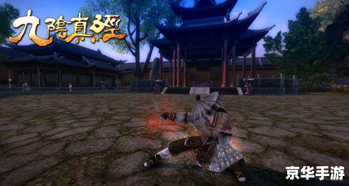 建议：《九阴真经神行无踪：探秘与战斗的终极武学体验》
