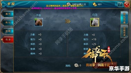 御龙在天马匹——游戏中的忠诚伙伴与战力之源