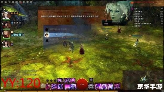 激战2攻略：探索与战斗的终极指南