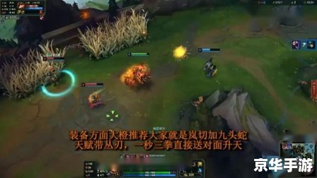 建议:《LOL石头人:崛起与战术深度解析》 建议:《LOL石头人:崛起与战术深度解析》