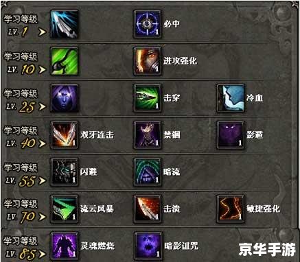 建议：《神鬼传奇法师加点攻略：技能与属性分配全解析》