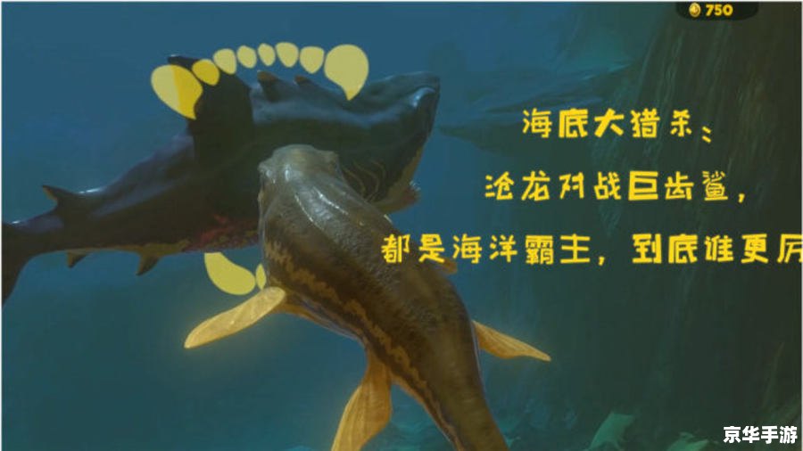 魔兽世界鲸鲨：海底霸主的挑战与魅力