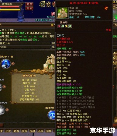 建议：《天龙八部3唐门加点攻略：技能与属性分配详解》