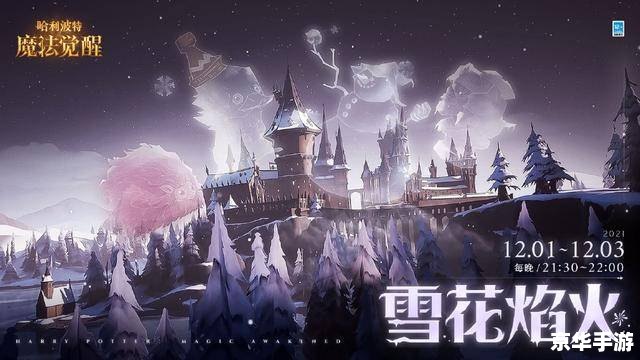 霍格沃茨入学表:探索与战斗的魔法世界 霍格沃茨入学表:探索与战斗的魔法世界