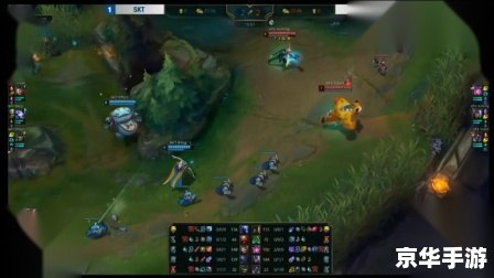 建议:《LOL扎克:深度解析与实战应用》 建议:《LOL扎克:深度解析与实战应用》