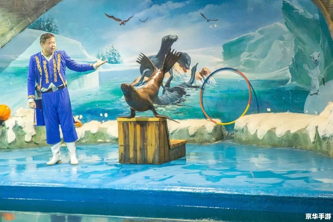 洛克王国鱼美人:海底奇幻之旅 洛克王国鱼美人:海底奇幻之旅