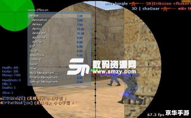 CS1.6单机版作弊器——游戏公平性的挑战与反思