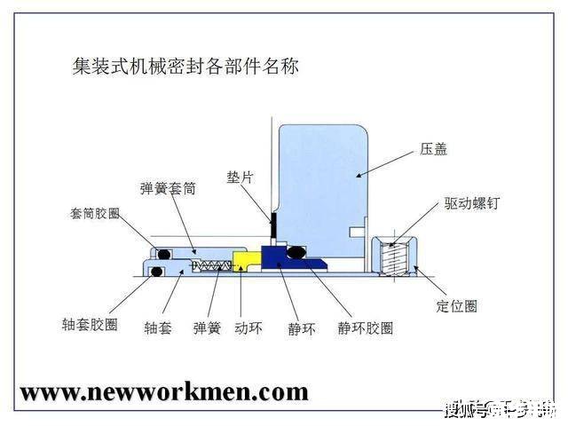 toome怎么安装 Toome 的安装步骤详解 toome怎么安装 Toome 的安装步骤详解