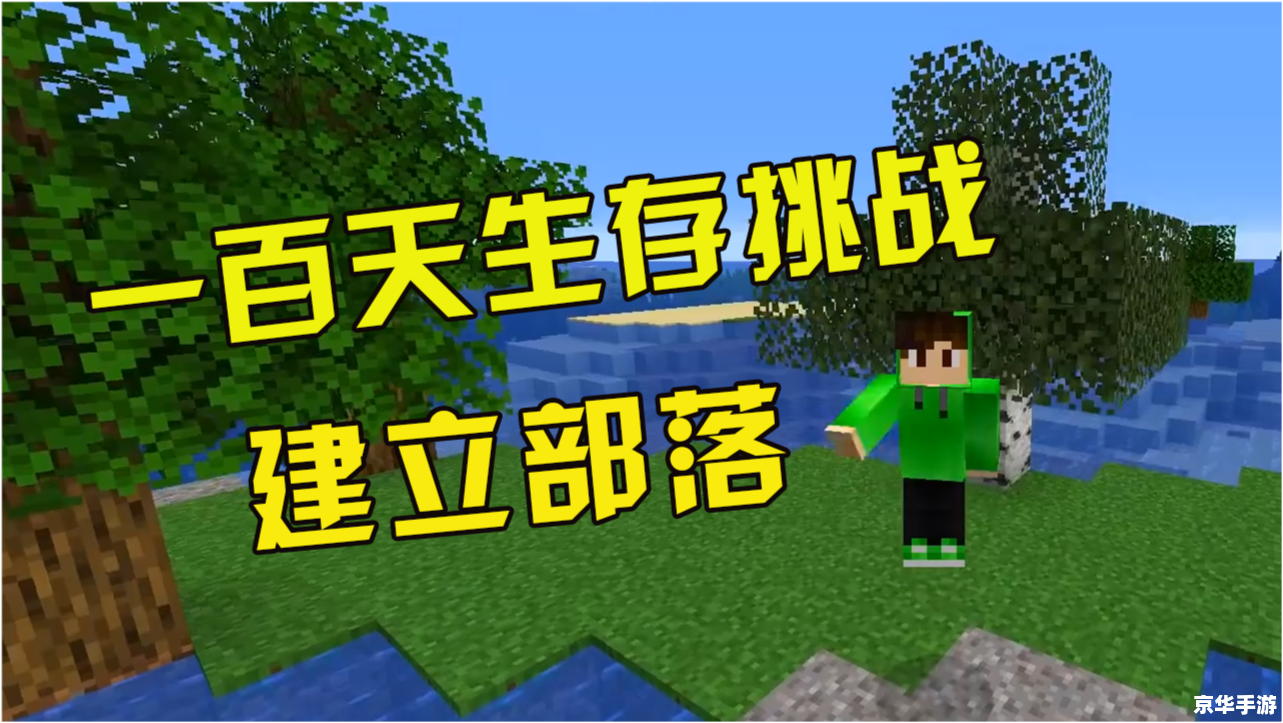 建议:《我的世界守则:探索、建设与生存的终极指南》 建议:《我的世界守则:探索、建设与生存的终极指南》