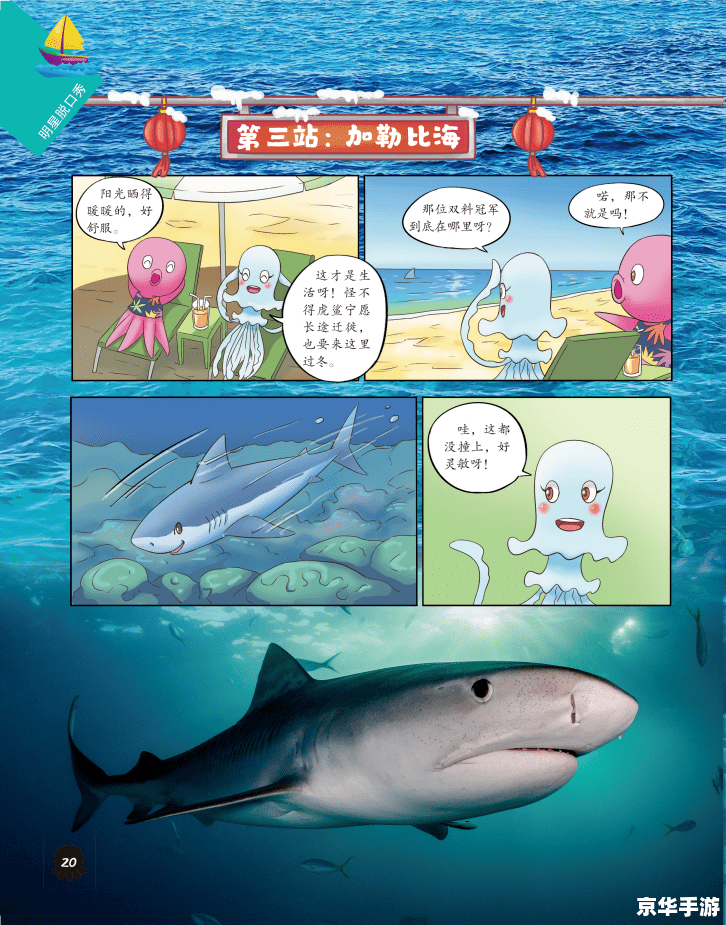 海底世界动态图片——探索与发现的海洋之旅 海底世界动态图片——探索与发现的海洋之旅