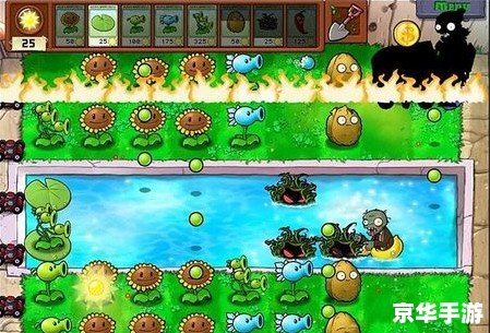电脑版植物大战僵尸2:经典再现,全新体验 电脑版植物大战僵尸2:经典再现,全新体验