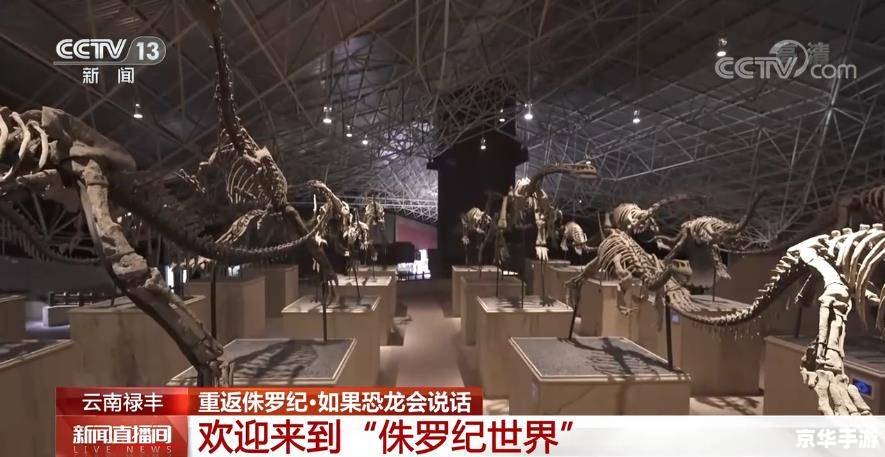 建议：《考古奖励悉数登场：探索与挖掘的终极盛宴》