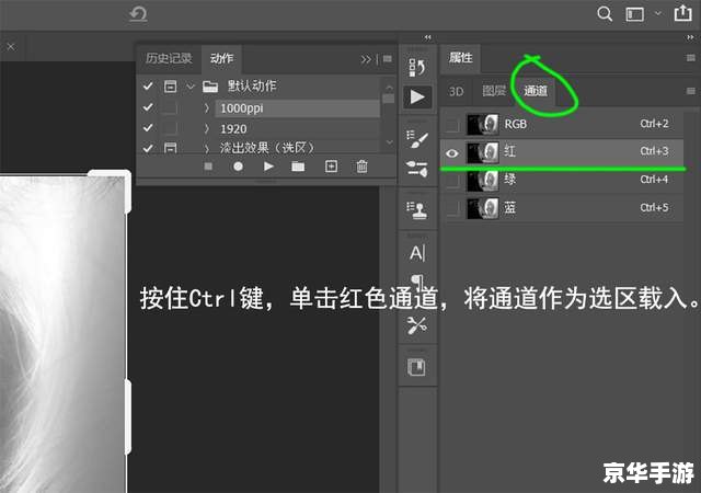 光域网的使用方法详解