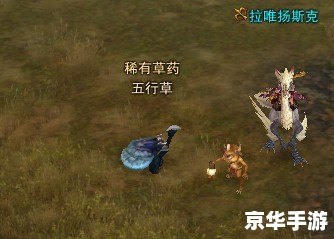 九阴真经寒鸦草:游戏内的珍稀草药与激烈争夺 九阴真经寒鸦草:游戏内的珍稀草药与激烈争夺