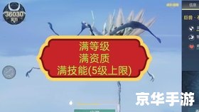 妄想山海孵蛋没有进度 建议：