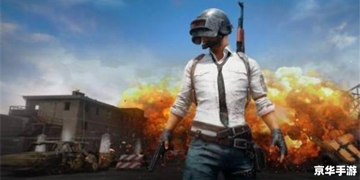 建议：《CSGO国服来袭，探析游戏魅力与竞技激情》