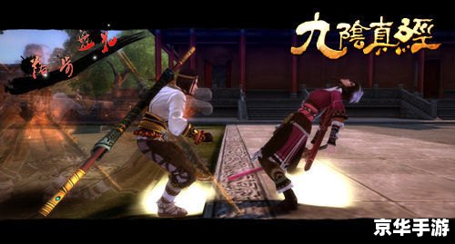 九阴真经夺书：一场武侠世界的书香之战